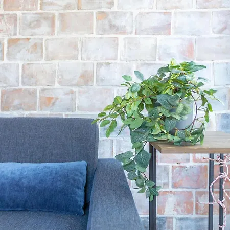 Apartment Sunny Stylish Spacious Loft In Old-port